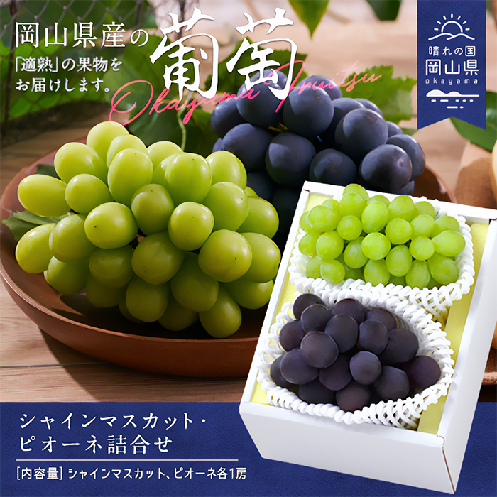 日本長野麝香葡萄kaorijpsnack